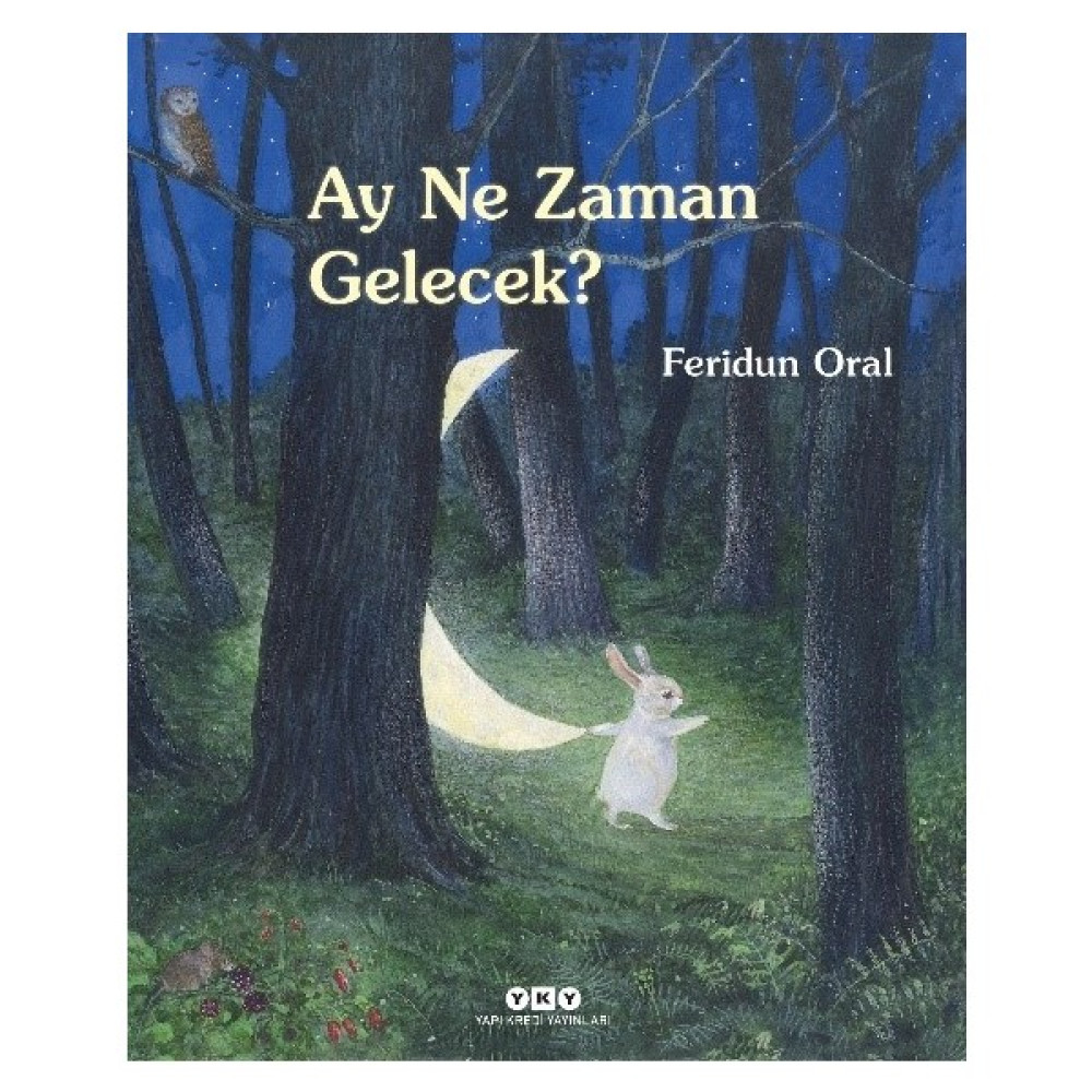 Ay Ne Zaman Gelecek? - Feridun Oral Çocuk Öykü Fiyatı