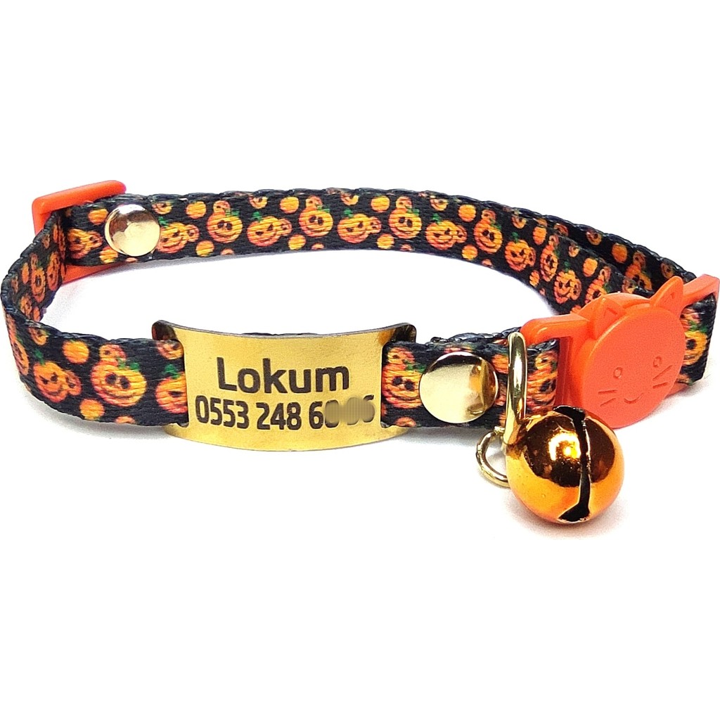 Ayz Markalama Gold Güvenlik Kilitli Kedi Tasması, Isimli Kedi Tasması, Kedi Isimlik, Kedi Künyesi, Safety Click Tasma, Sallanmayan Künye - Turuncu - S Diğer Fiyatı