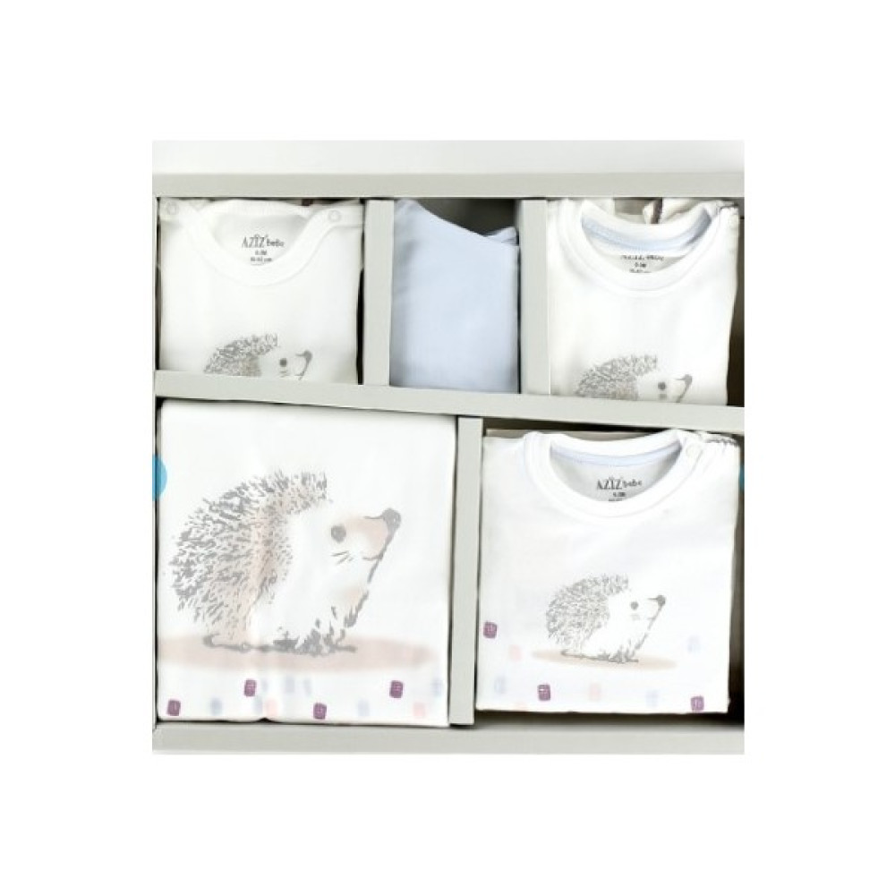 Aziz Bebe Kirpi Baskılıı Çizgili Onlu SET010293 Bebek Hastane Çıkışı Fiyatı