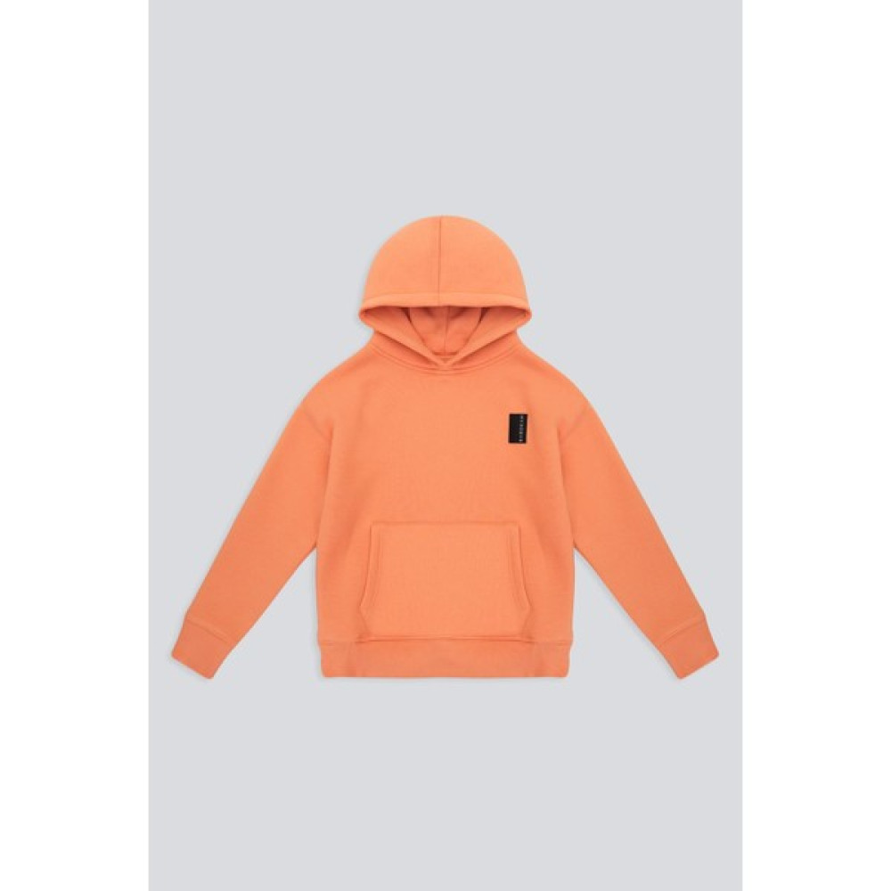 Babokah (Kids Boy) Kapüşonlu Sweatshirt Erkek Çocuk Sweatshirt Fiyatı