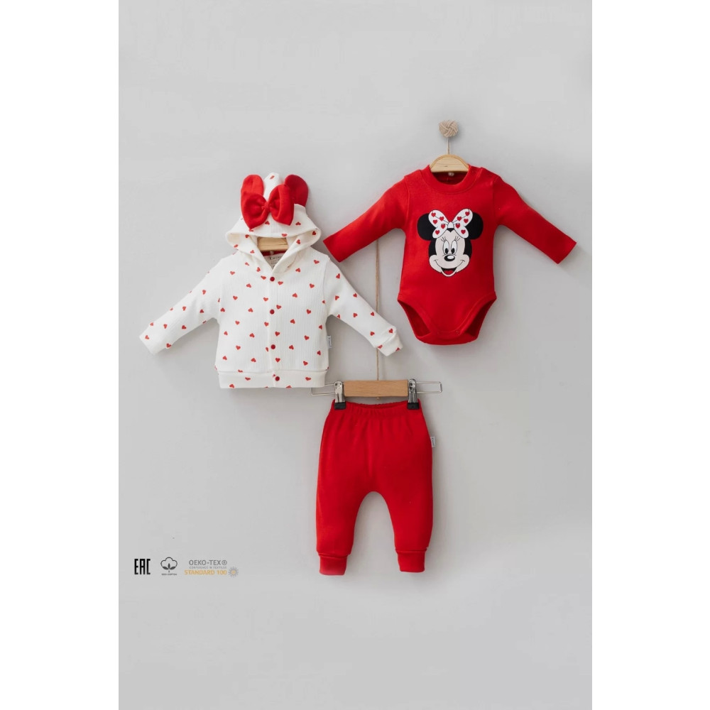 Babydonat Mickey Desenli Hırkalı 3lü Kız Takım 3-6 AY Beden Bebek Giyim-Tekstil Fiyatı
