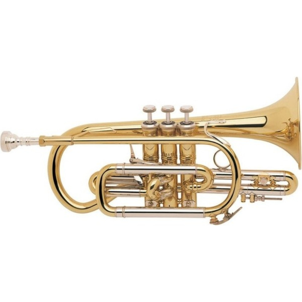 Bach 184L Kornet Oto Boyaları Fiyatı