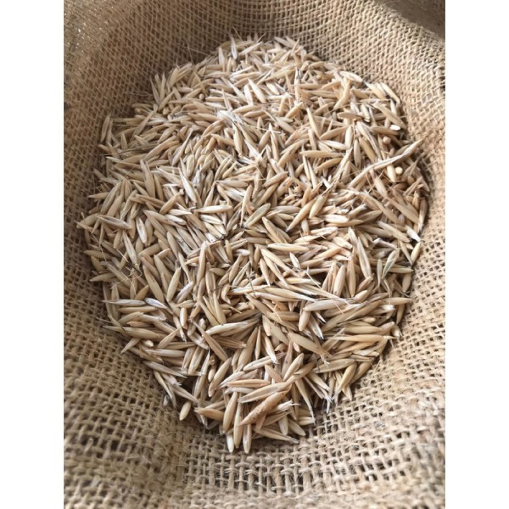 Bahar Tarım Yulaf Tohumu 5 kg - 1 Adet Tohum Fiyatı