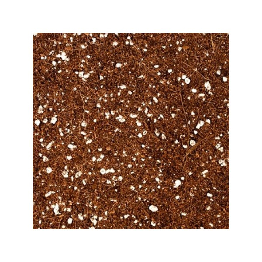 Bahçe Li̇fe Coco Peat Kullanıma Hazır Torf 20 lt Bitki Fiyatı
