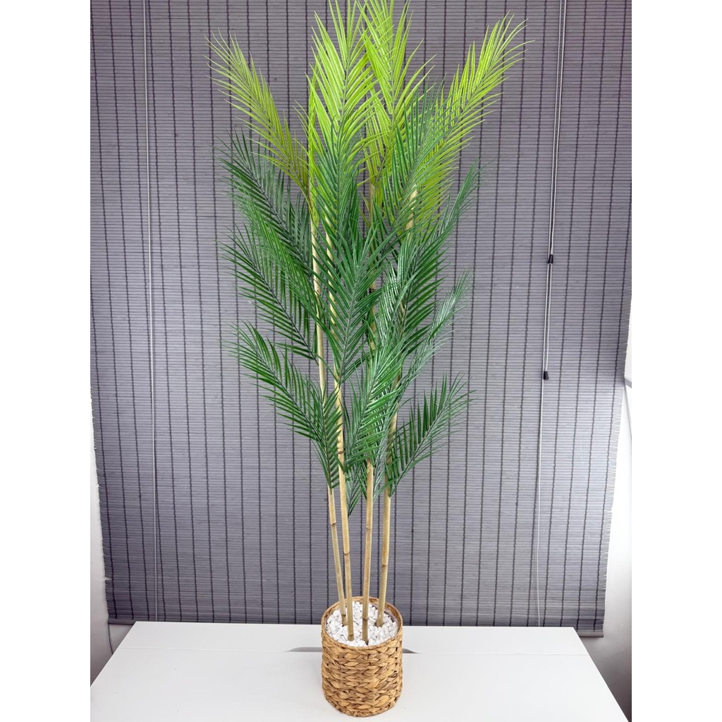 Bahçem Dekoratif Yapay Yapraklı Hasır Su Sümbülü Saksılı Areka Palmiye Ağacı 4 Gövde 150CM - Naturel Saksı ve Aksesuarları Fiyatı