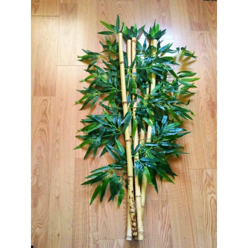 Bambu Bamboo Ağaç 5 Adet 1 Metre Boy Bambu Ağaç Çiçek Ev & Dekorasyon Aksesuarları Fiyatı