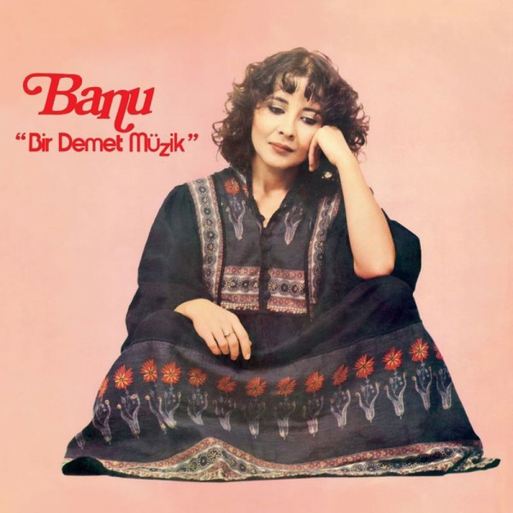 Banu Bir Demet Müzik Plak Pikap & Aksesuarları Fiyatı