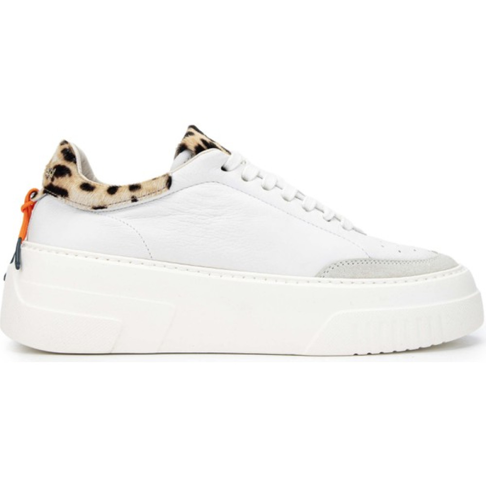 Barracuda Kadın Deri Beyaz/leopar Sneakers & Spor Ayakkabı 511 BD1202C Bn Ayk Y24 Camelıa/abıp/marmo Spor Ayakkabı Fiyatı