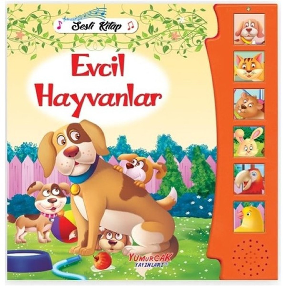 Bas Dinle Evcil Hayvanlar Sesli Kitap Çocuk Öykü Fiyatı