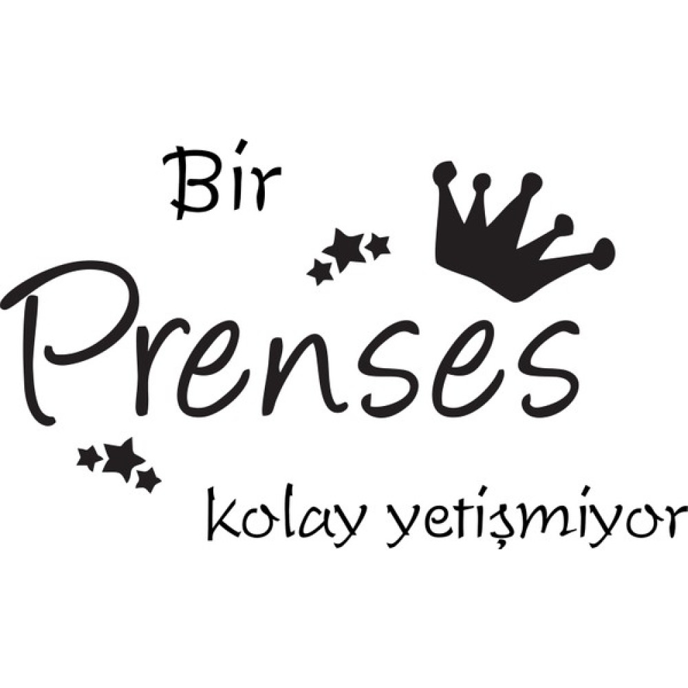 Baskı Madeni Bir Prenses Kolay Yetişmiyor Duvar Sticker 50 cm x 28 cm Siyah - 50 x 28 cm SSD / Solid State Drive Fiyatı