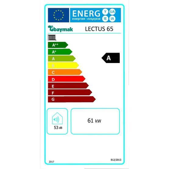 Baymak Lectus 65KW 55900 Kcal/H Yoğuşmalı Kazan