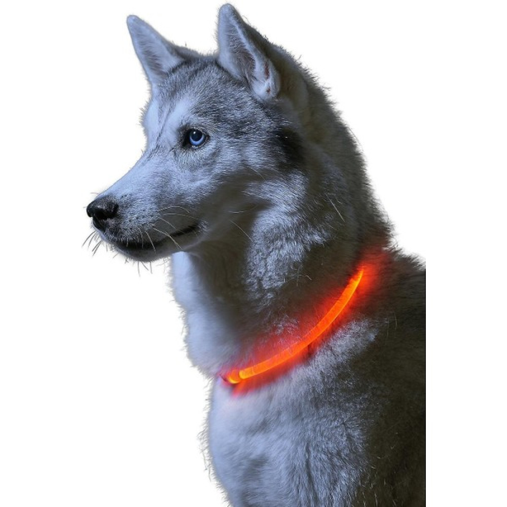 BDZ Mall Süper Parlak LED Işık Up Köpek Yaka Yüksek Görünürlük Yanıp Sönen Güvenlik Pet Tasma - Kırmızı (Yurt Dışından) - L - Turuncu Evcil Hayvan Ürünleri Fiyatı