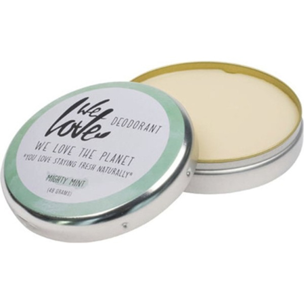 Beaver Might Mint Tin 48 gr Oto Boyaları Fiyatı
