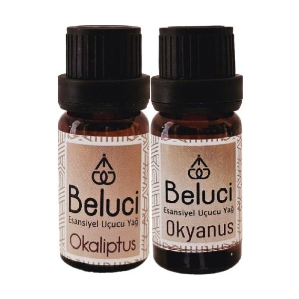 Beluci Okaliptus + Okyanus Uçucu Buhurdanlık Yağı Oda Kokusu Aromaterapi Set ( 2 Adet x 10 ml ) Oto Boyaları Fiyatı