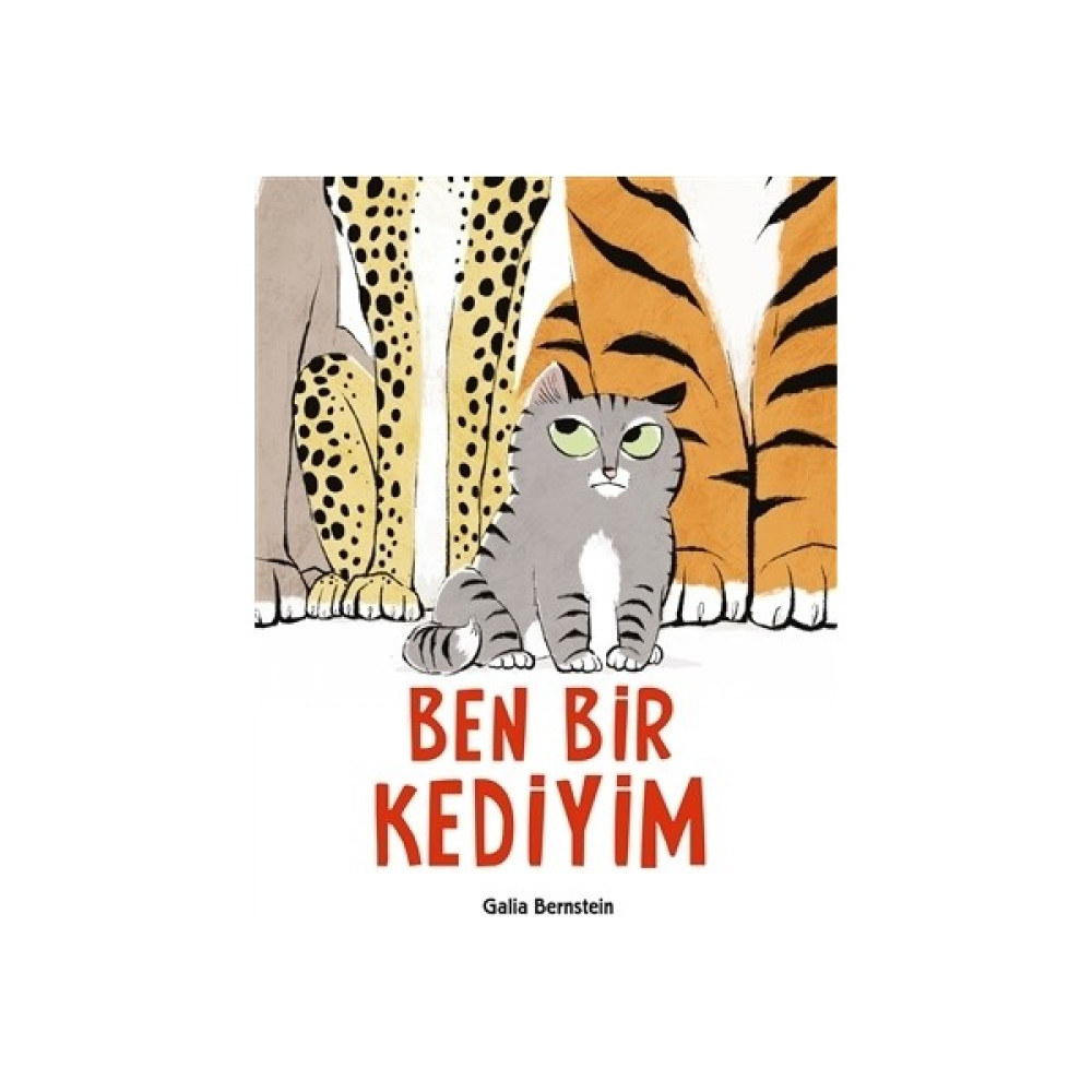 Ben Bir Kediyim Çocuk Öykü Fiyatı