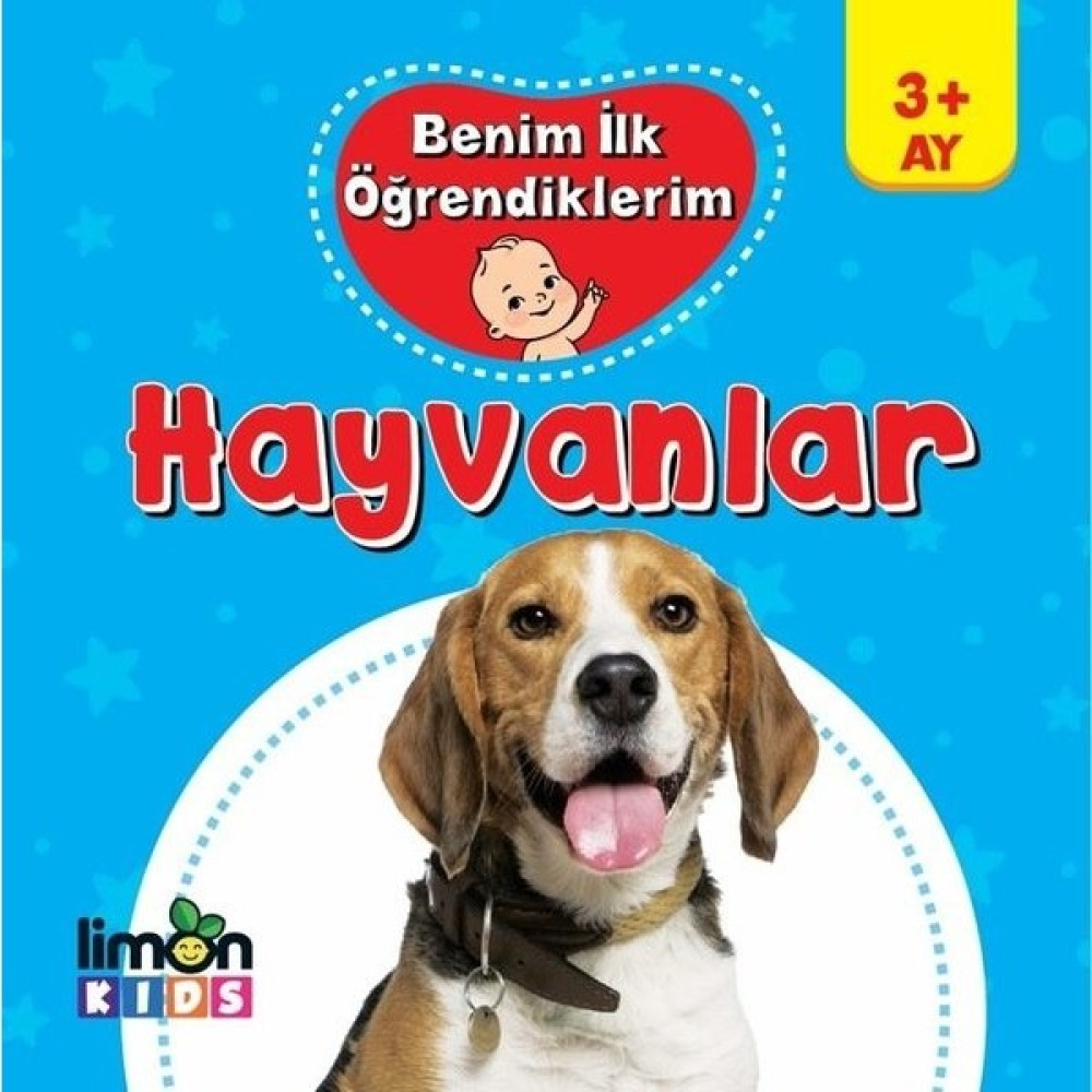 Benim İlk Öğrendiklerim Hayvanlar Okul Öncesi Eğitici & Öğretici Kitaplar Fiyatı