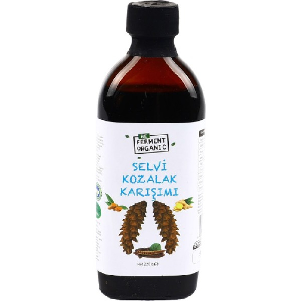 Beorganic Çam Kozalaklı Organik Özlü Karışımlı Şurup 220 gr Oto Boyaları Fiyatı