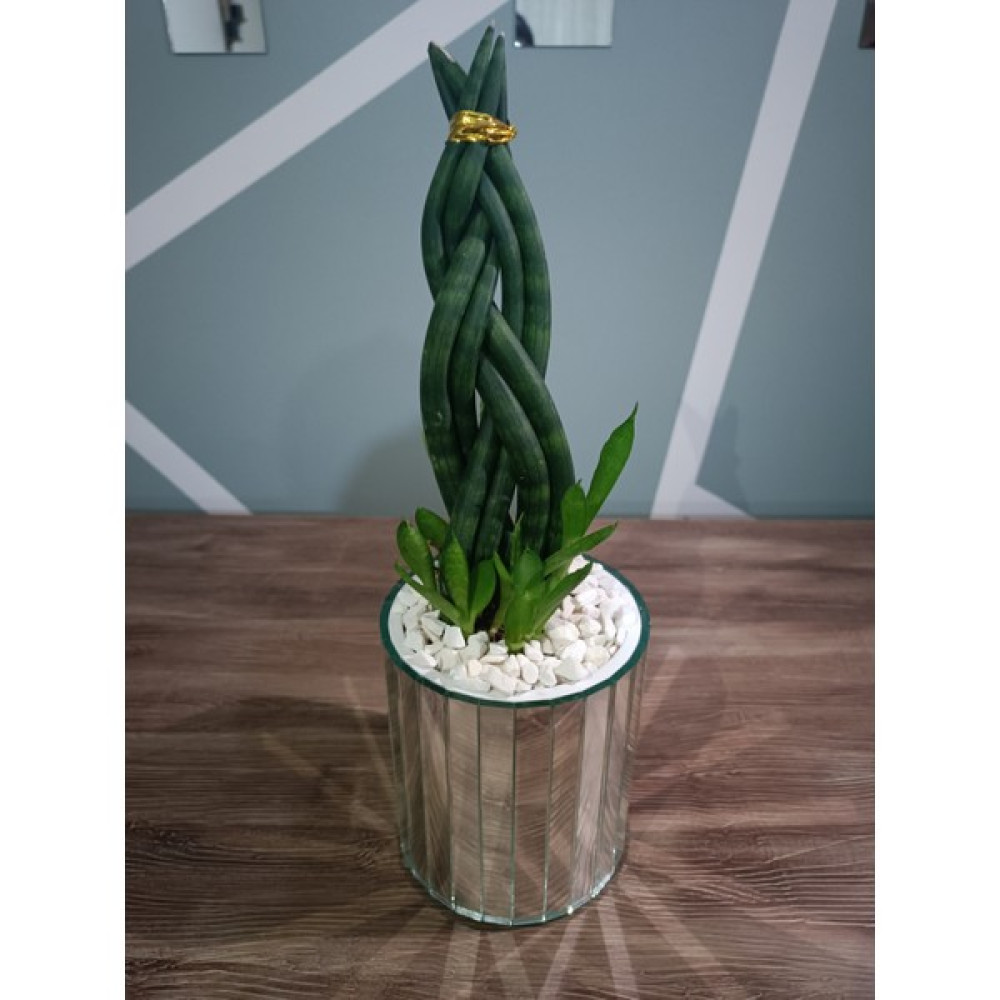 Beq Home Ayna Vazo Gümüş Şık Dekorasyon Yuvarlak 15 cm Vazo Vazo Fiyatı