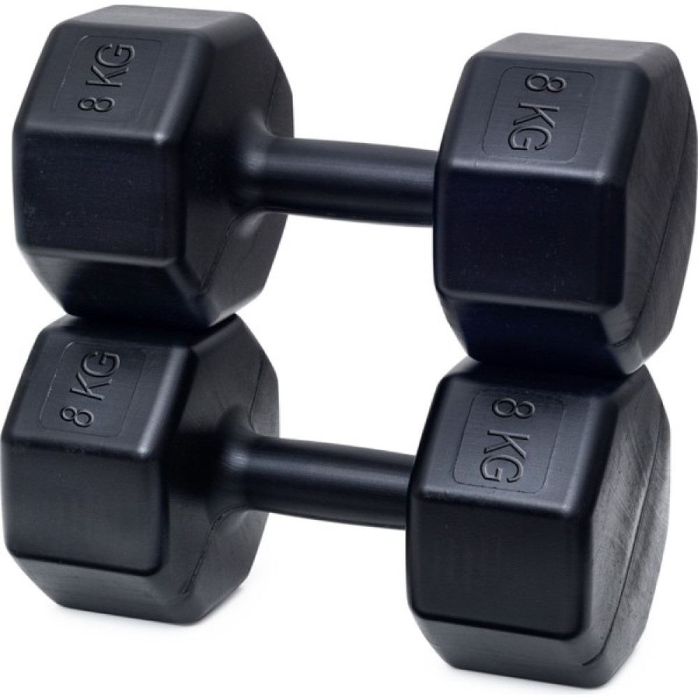Besinistanbul 8 kg Dambıl x 2 Adet = 16 kg Dambıllar & El / Ayak Ağırlıkları Fiyatı
