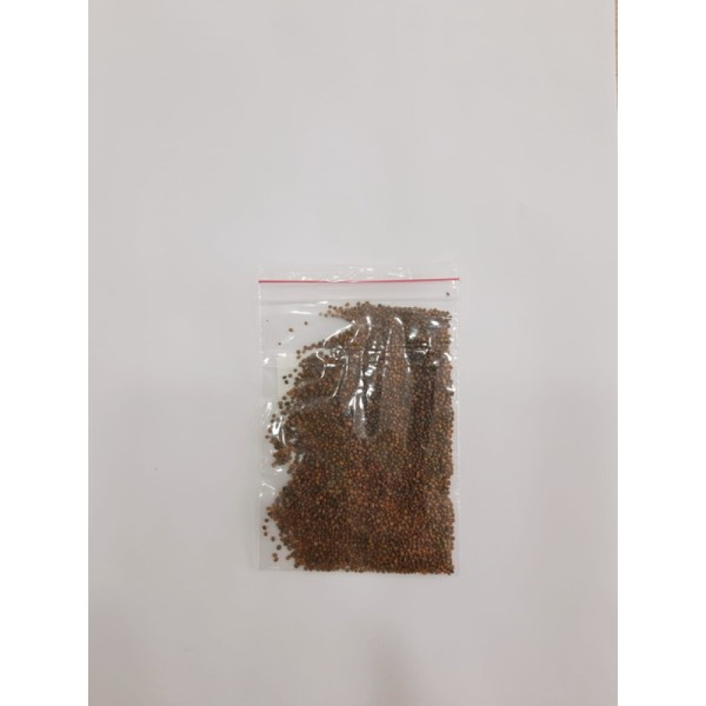 Beslenme Dedektifi Roka Tohumu - 10 gr Oto Boyaları Fiyatı