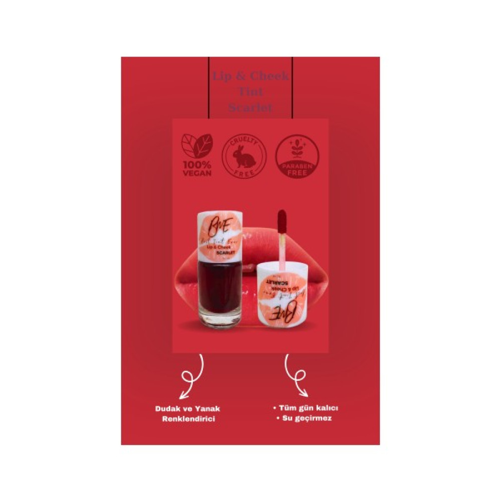 Best Match Ever Best Tint Ever Scarlet - Dudak ve Yanak Renklendirici - Likit Ruj Likit Allık - Lip & Cheek Tint - KIRMIZI Rujlar & Dudak Parlatıcıları Fiyatı