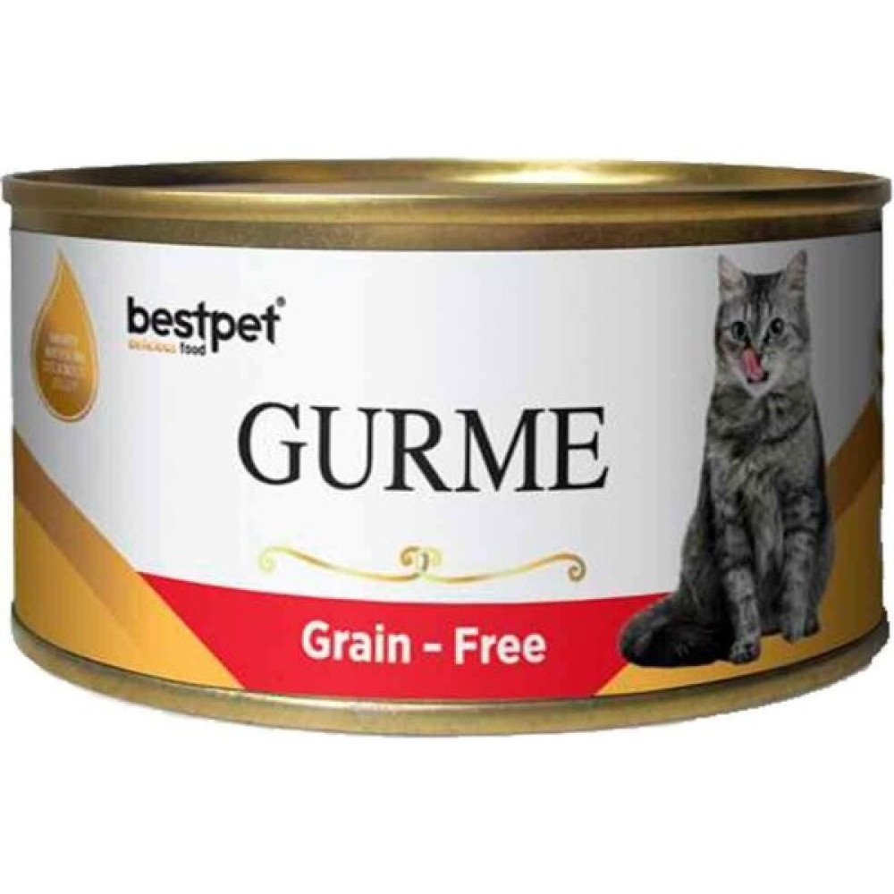 Bestpet Gurme Kedi Konservesi Kuzulu Parça Etli 100 gr Evcil Hayvan Ürünleri Fiyatı
