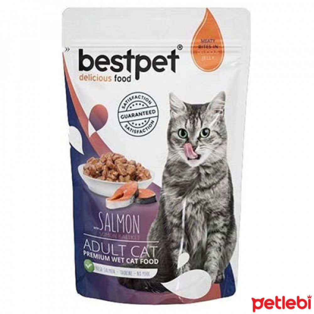 BestPet Pouch Somonlu Yetişkin Kedi Konservesi 85gr Evcil Hayvan Ürünleri Fiyatı