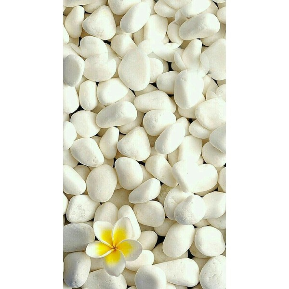 Beyaz Taş 2 kg 1-2 cm Beyaz Dolomit Taş Dere Taşı Çakıl Taşı Bahçe Süs Taşı Akvaryum Teraryum Taşı Evcil Hayvan Ürünleri Fiyatı
