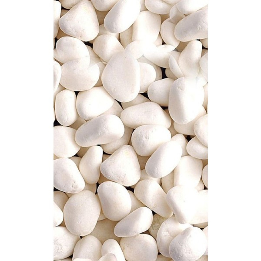 Beyaz Taş 3 kg 2-4 cm Beyaz Dolomit Taş Dere Taşı Çakıl Taşı Bahçe Süs Akvaryum Teraryum 20NO.4-5 Evcil Hayvan Ürünleri Fiyatı