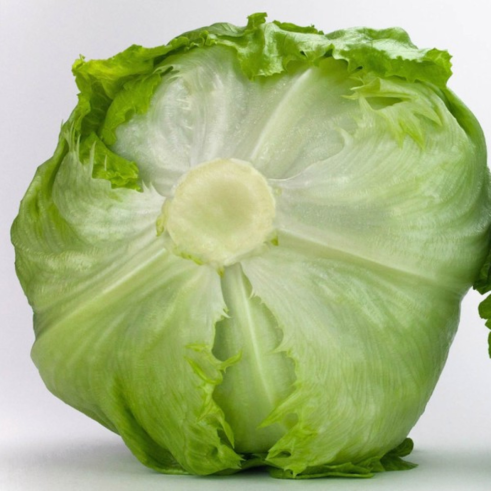 Beybaharat + 20 Adet Iceberg Marul Aysberk Tohumu + Sürpriz Tohum Tohum Fiyatı
