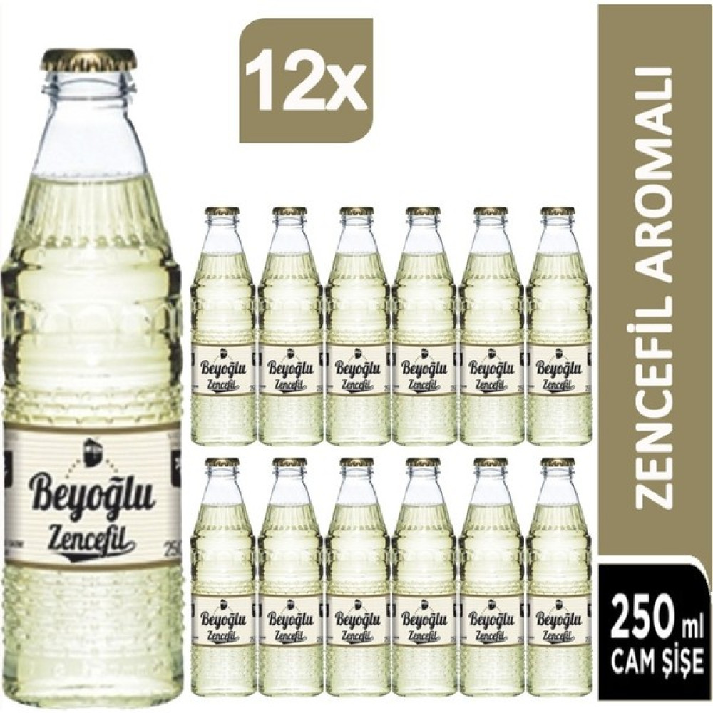 Beyoğlu Zencefilli Gazoz 12 x 250 ml - Metal Filtre Diğer Fiyatı