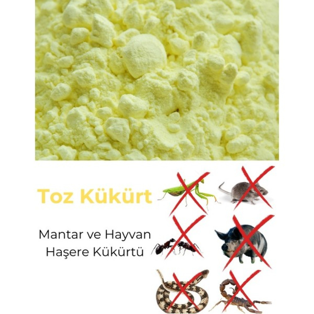 Bezirgan Tohum Altın Kükürt Toz Kükürt Mantar Haşare Kükürtü 2,5 kg Oto Boyaları Fiyatı