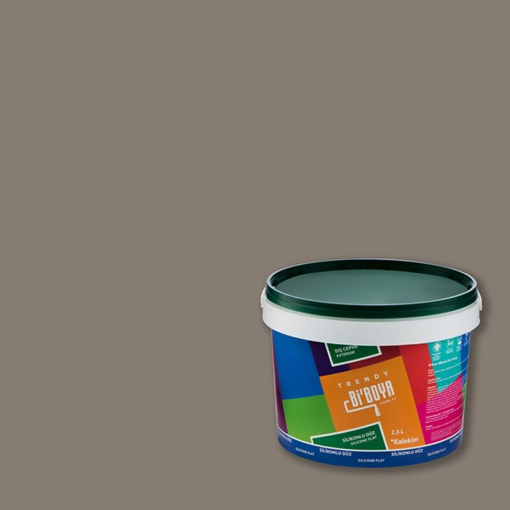 Bi'Boya Silikonlu Dış Cephe Boyası 4564 2.5 Lt Boyalar & Boyacı Aletleri Fiyatı