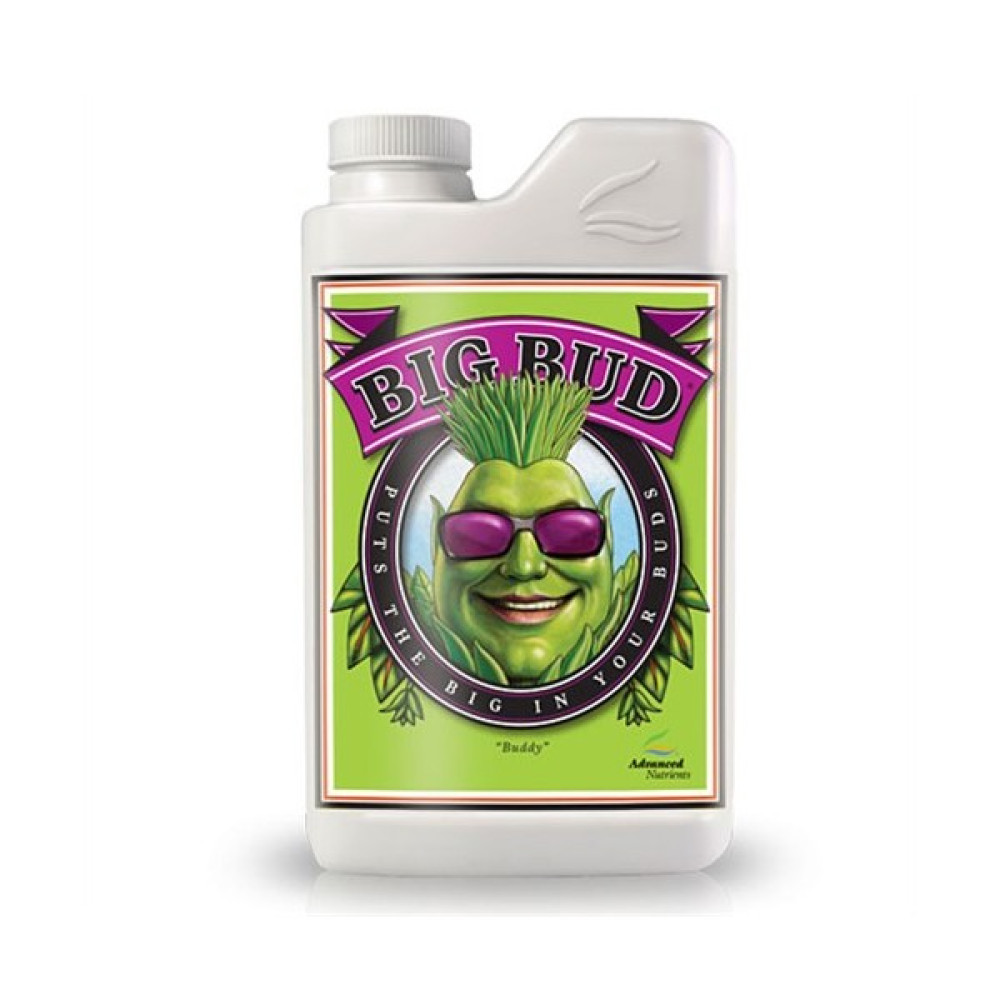 Big Bud - Büyük Meyveler 1 Lt Bitki Fiyatı