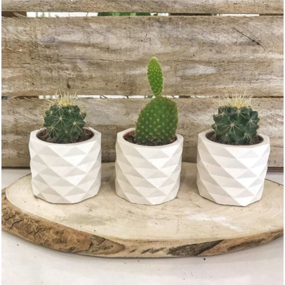Bigcraft Beyaz Beton Saksılık Kaktüs ve Sukulentlik 3'lü Set Oto Boyaları Fiyatı