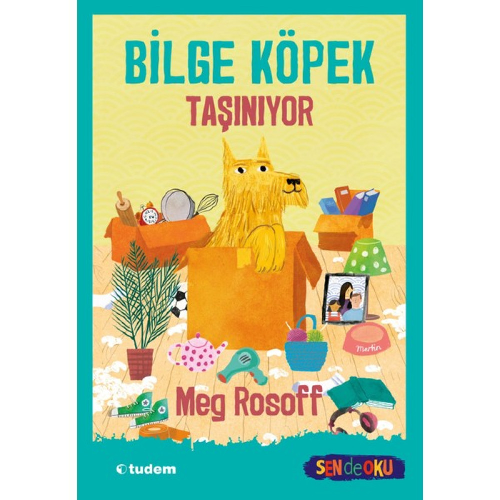 Bilge Köpek Taşınıyor Çizgi Roman Fiyatı