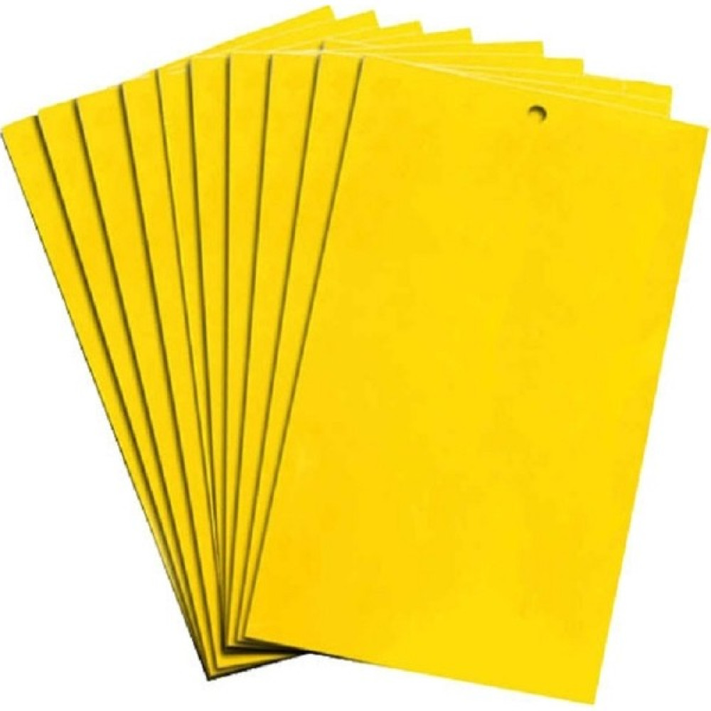 Biogreen 10 Cm X 25 Cm Sarı Yapışkan Tuzak Bitki Fiyatı