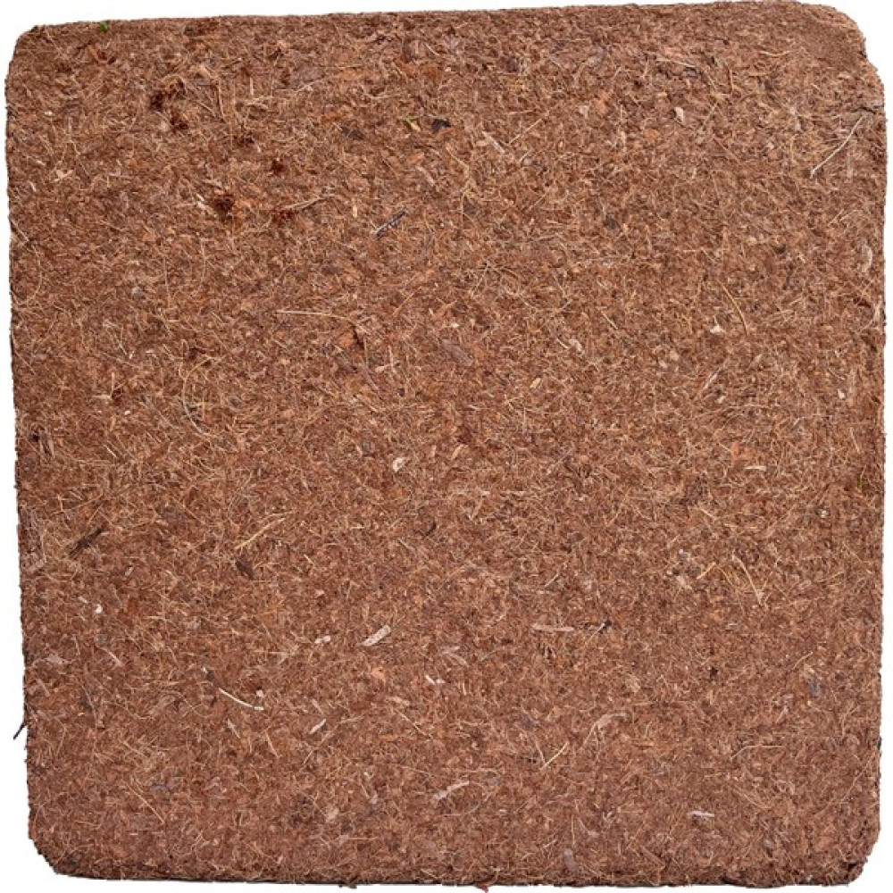 Biorfe Premium Cocopeat Sıkıştırılmış Hindistan Cevizi Torfu 5 kg Bitki Fiyatı