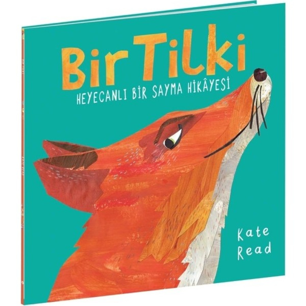 Bir Tilki Heyecanlı Bir Sayma Hikayesi - Kate Read Okul Öncesi Eğitici & Öğretici Kitaplar Fiyatı