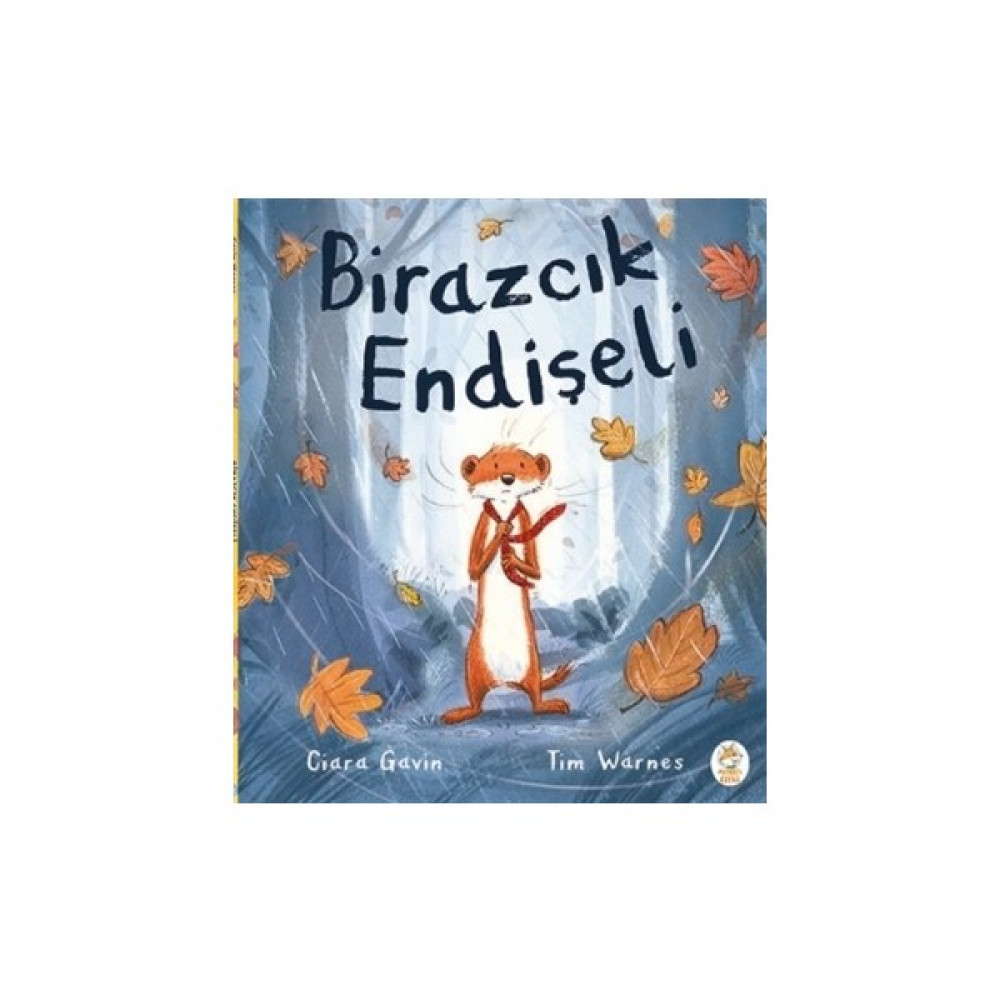 Birazcık Endişeli - Ciara Gavin Çocuk Masal Fiyatı