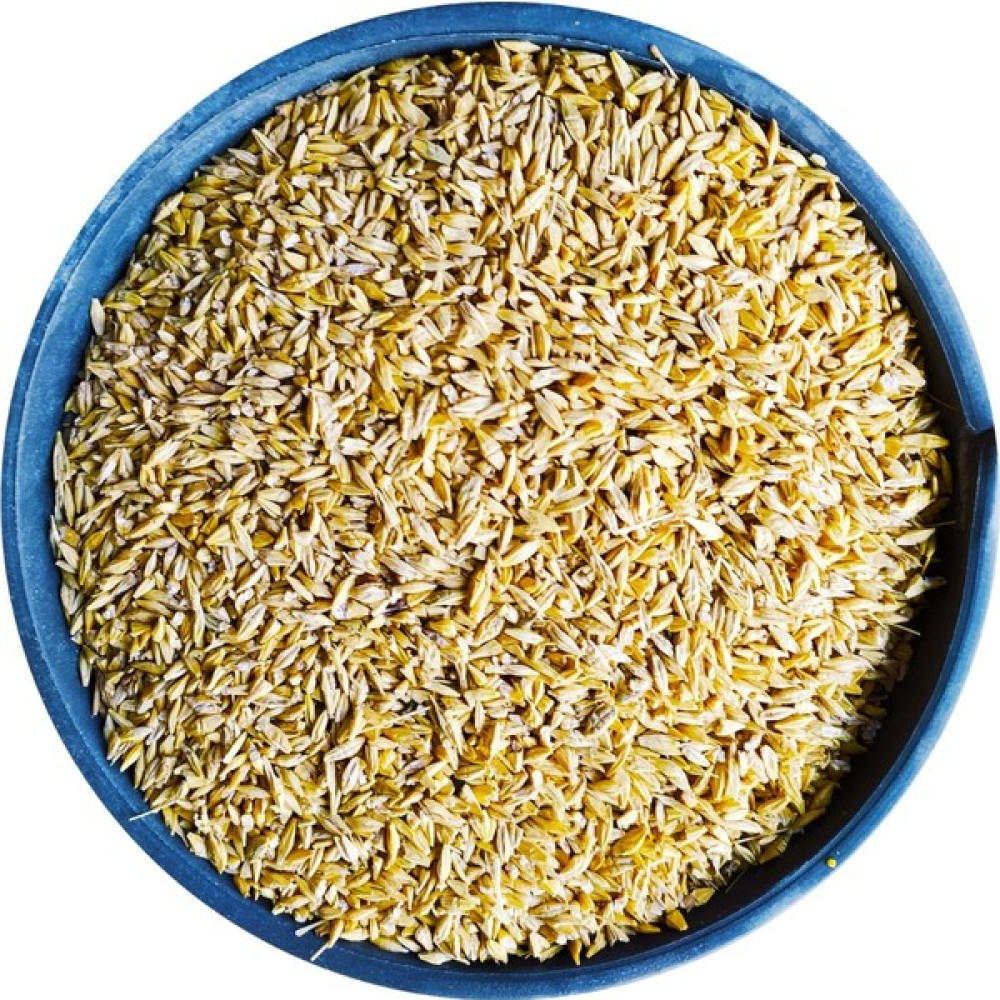 Bizim Yem Kırık Arpa - 10 kg Tavuk Yemi Yemlik Ezme Kanatlı Yemi Kaz Ördek Yemi Kuş Yemi Evcil Hayvan Ürünleri Fiyatı