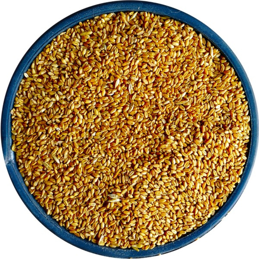 Bizim Yem Yemlik Elenmiş Buğday - 25 kg (Tavuk, Piliç, Hindi, Ördek, Güvercin, Kaz ) Evcil Hayvan Ürünleri Fiyatı