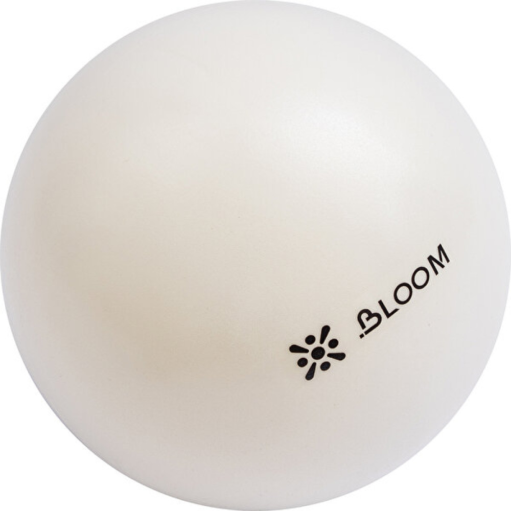 Bloom LB7000B 20 cm Mini Pilates Topu Pilates Fiyatı