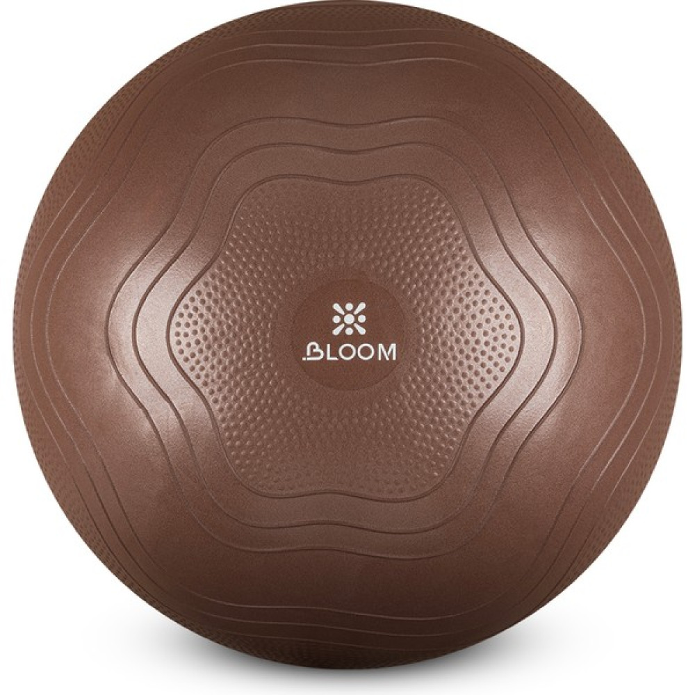 Bloom LB7051 55 cm Pilates Topu Kahverengi Pilates Fiyatı