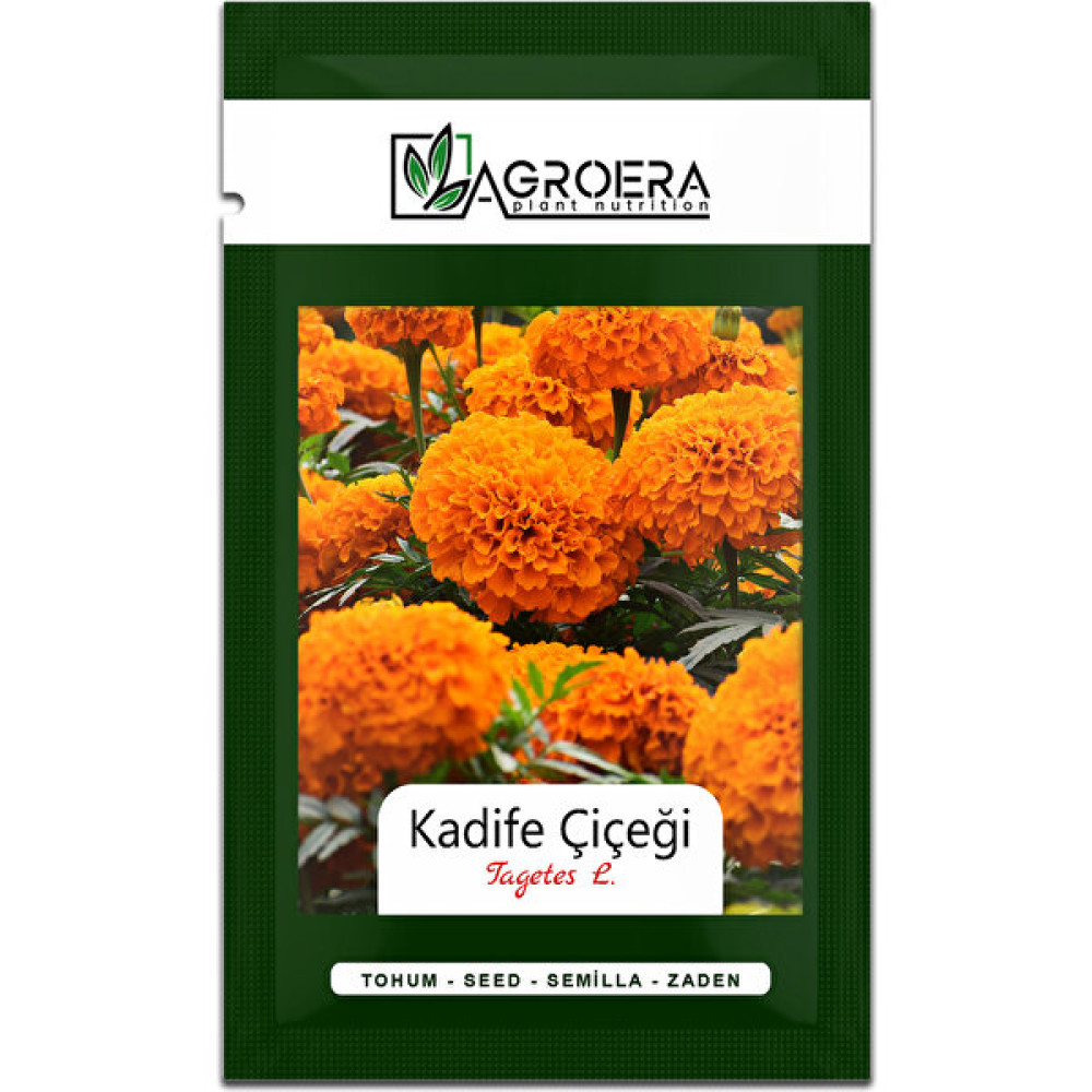 Bodur Kadife Çiçek Tohumu (Tagetes L.) 50 Adet - 1 Adet Tohum Fiyatı