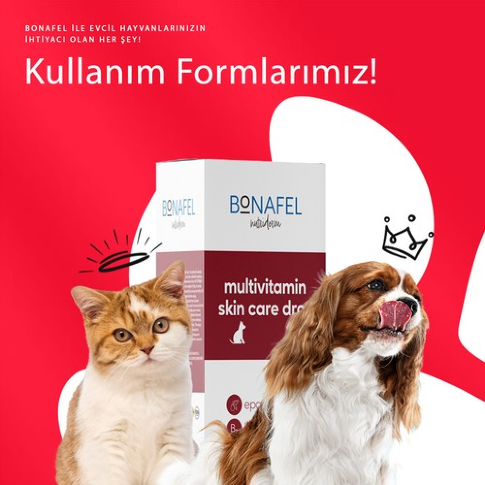 Bonafel Balık Yağı Bazlı Deri ve Tüy Sağlığı Damlası 50 ml
