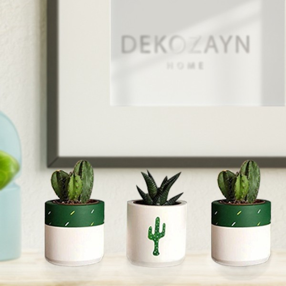 Bonopart Bitki Dahil Kaktüs Desenli Beton Saksı 3'lü Set- Küçük Boy Sukulent - Renkli Saksı ve Aksesuarları Fiyatı