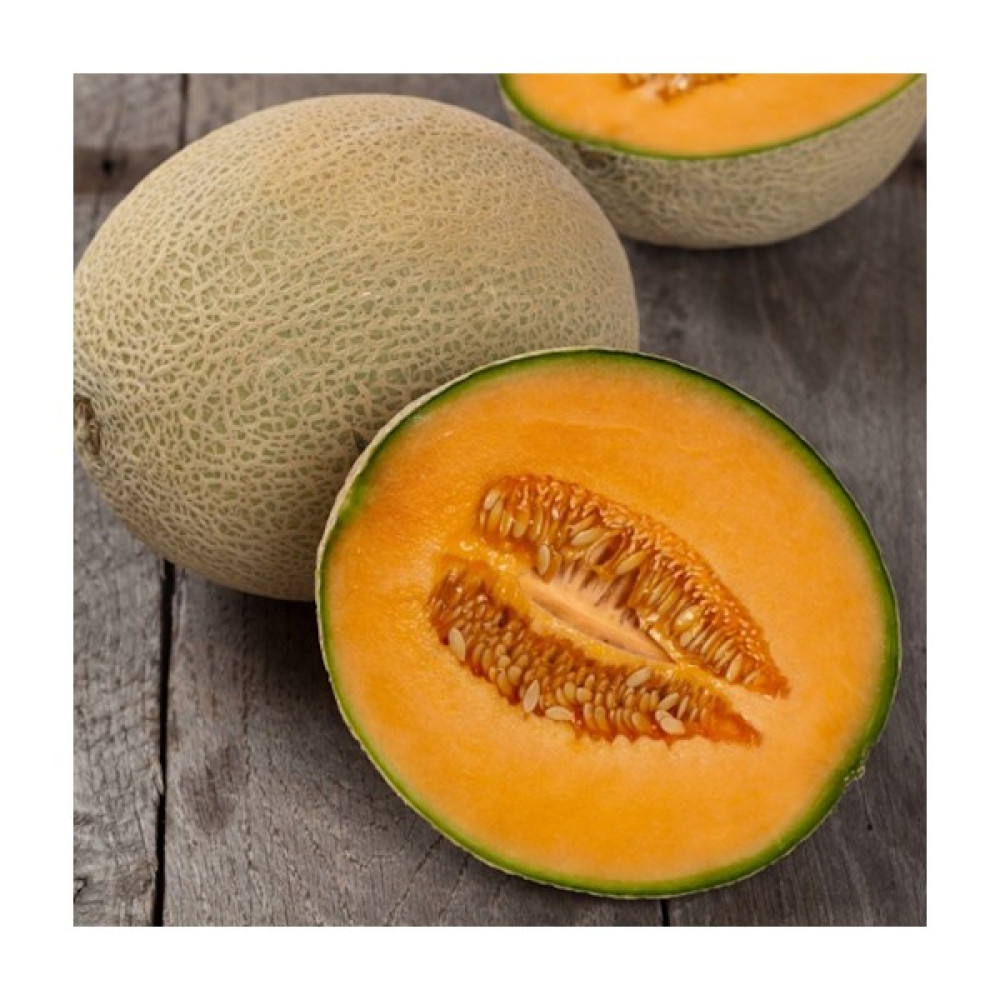 Boothas Ananas Kavun Tohumu 25 Adet + Saksı + Torf - 5 Adet Oto Boyaları Fiyatı
