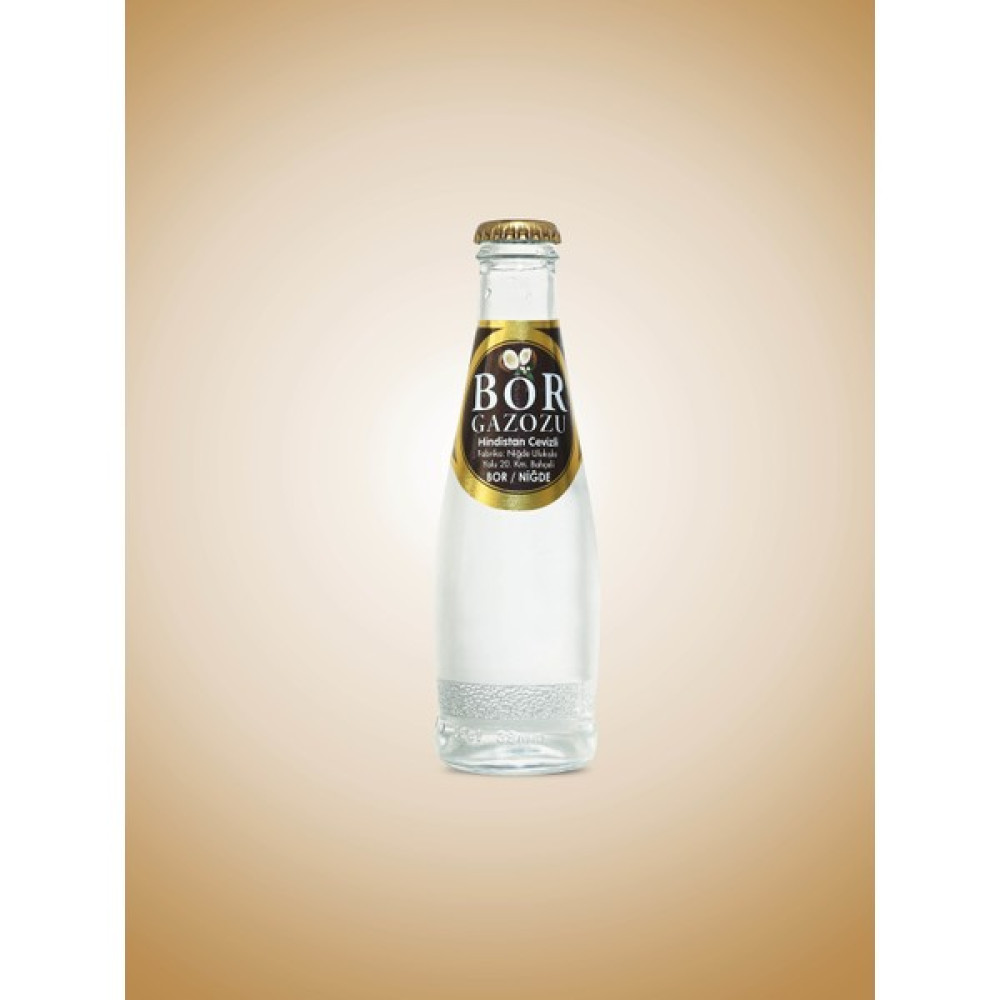 Bor 200 cc Hindistan Cevizi Aromalı Gazoz 6*4 Diğer Fiyatı