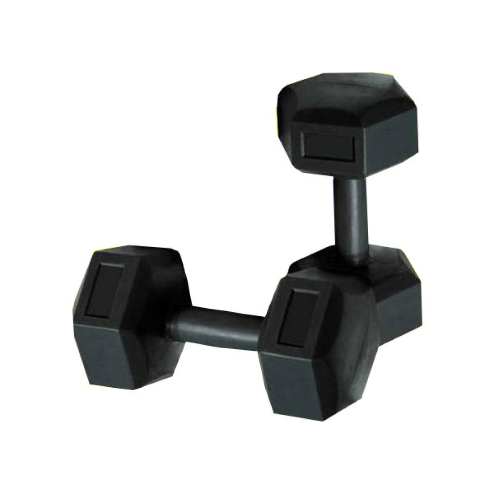 Borçin Dambıl Seti 2 kg Dumbell Ağırlık Seti Dambıllar & El / Ayak Ağırlıkları Fiyatı